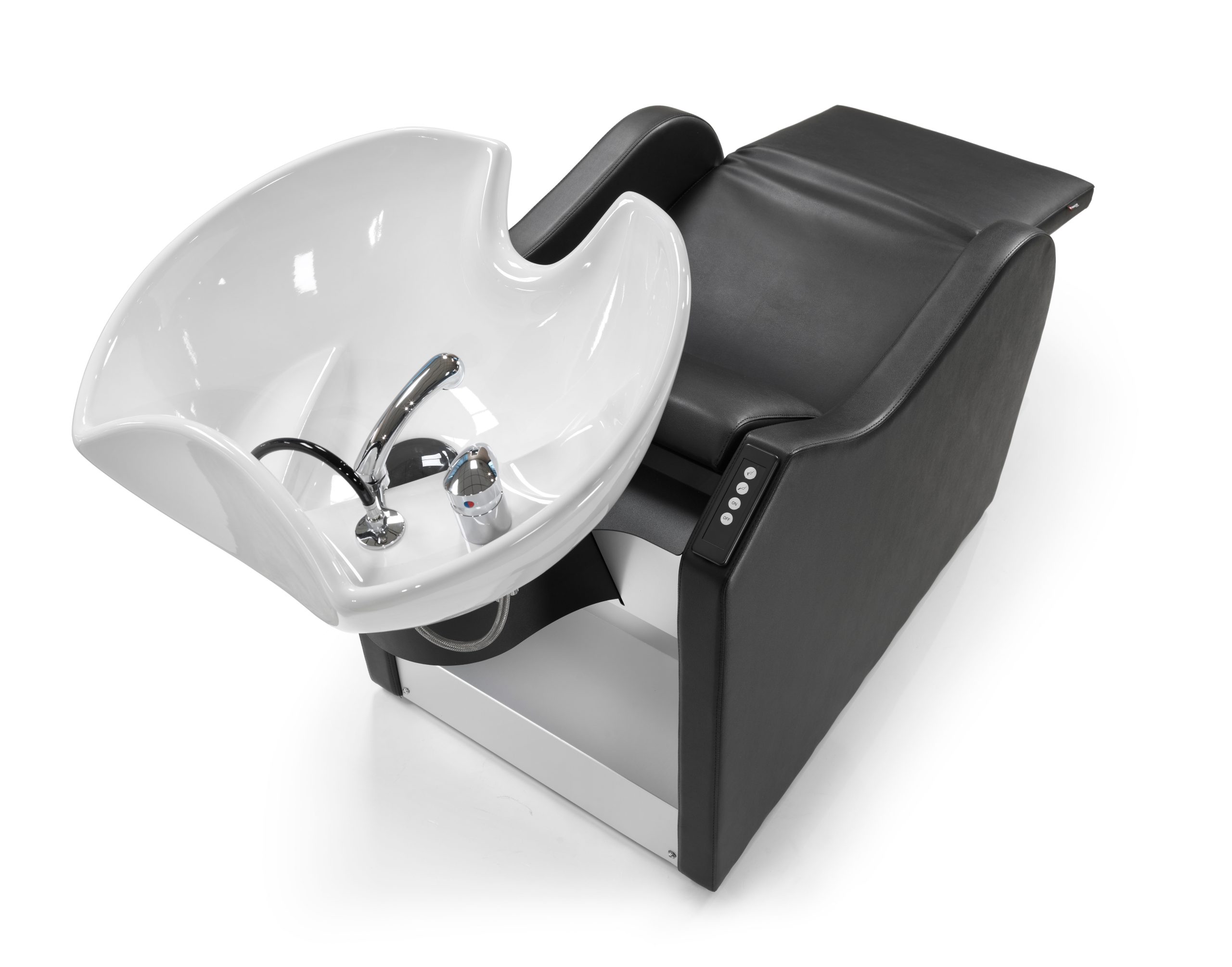 Artemisia 65 - Image 6